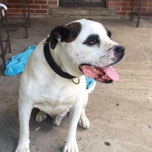 Meet your Posher, Willie